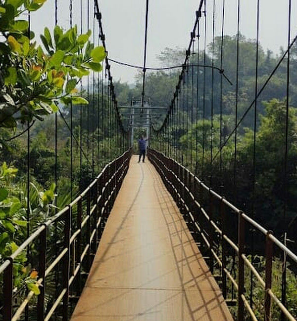 Velagapalle Rope Bridge